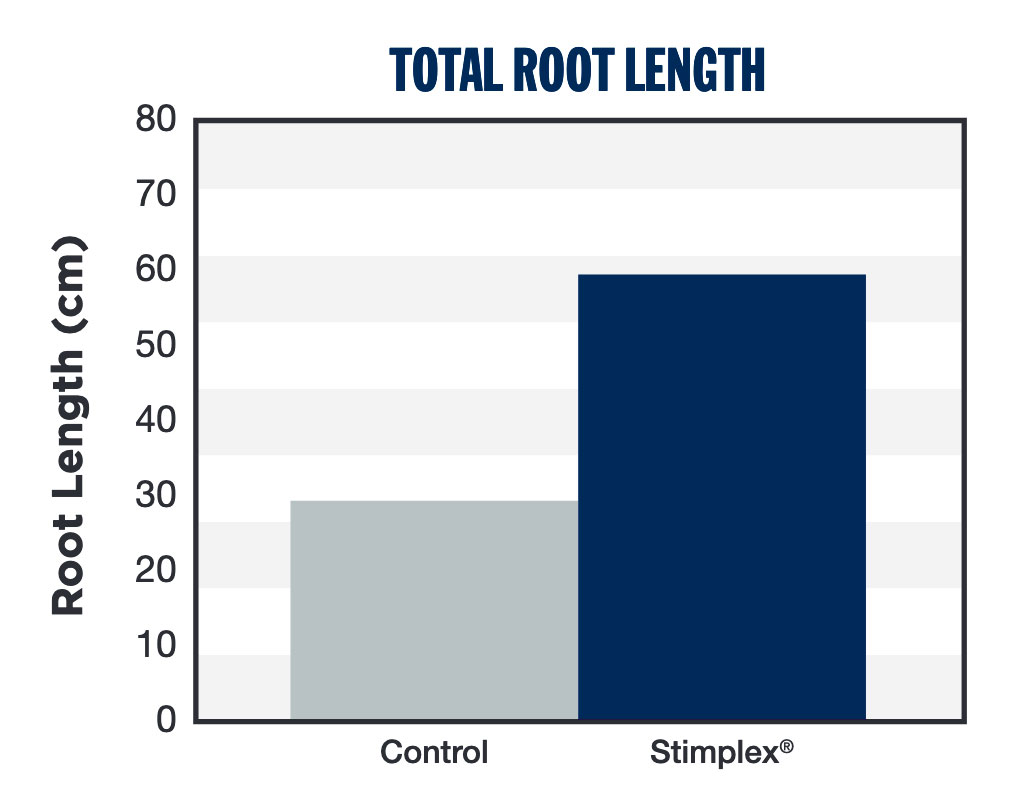 Total Root Length