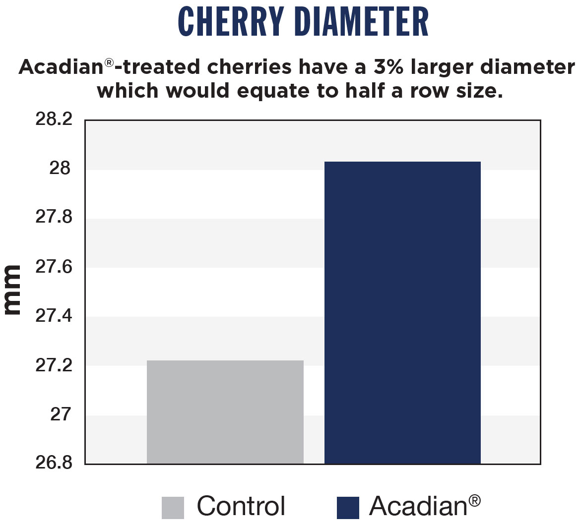 Acadian Organic Cherry Diameter