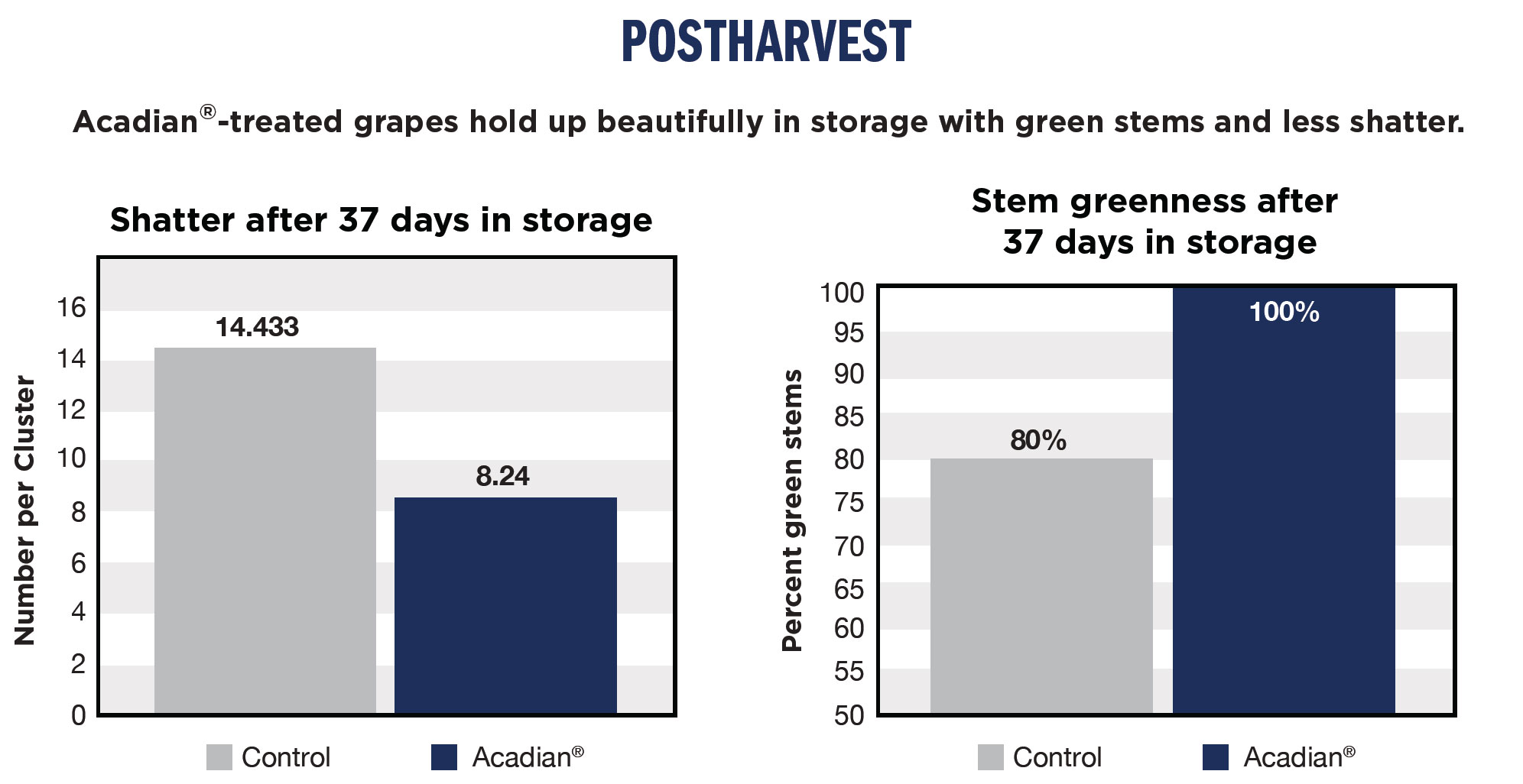 Acadian Organic Table Grapes Postharvest