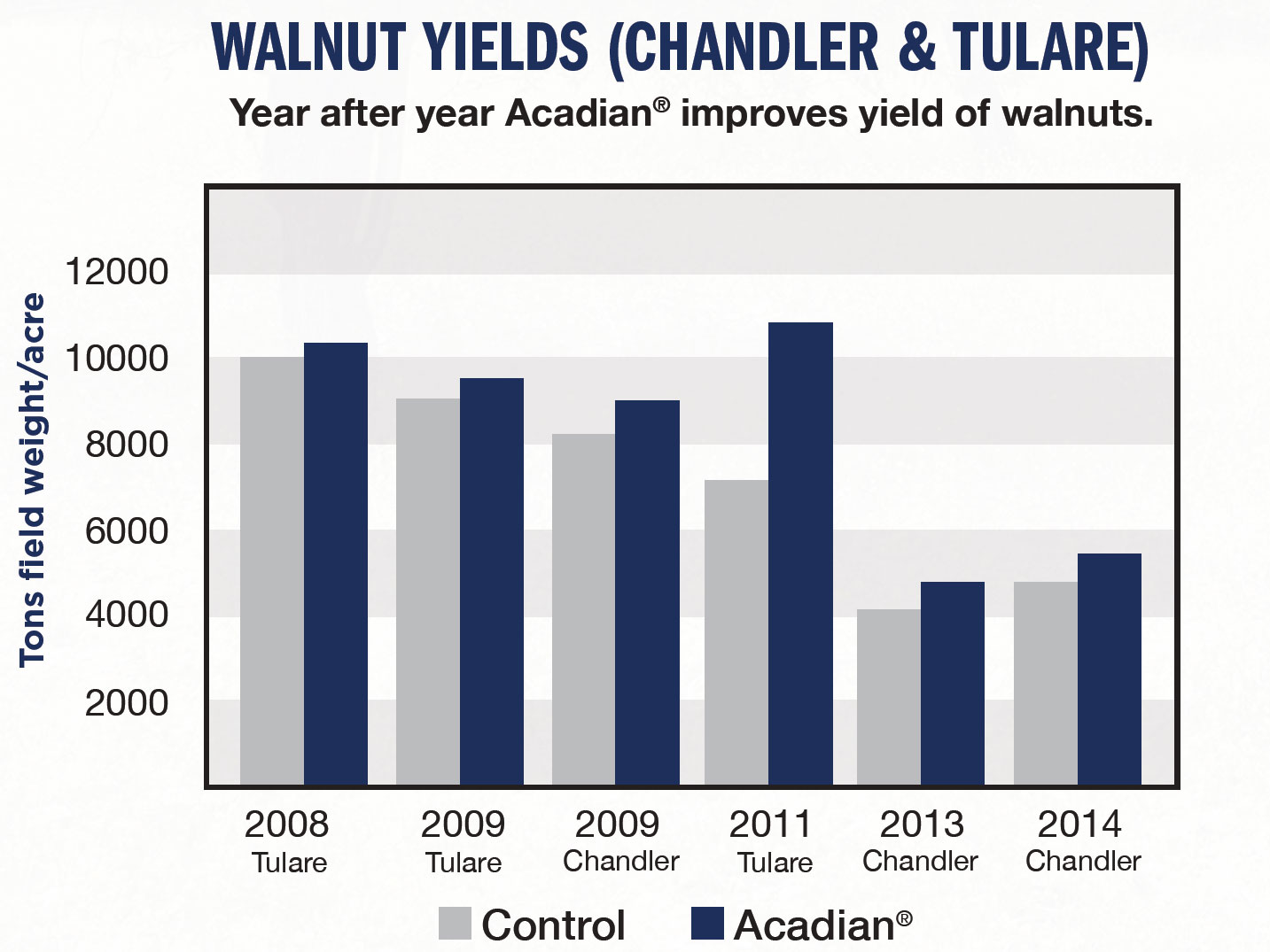 Walnut Yields
