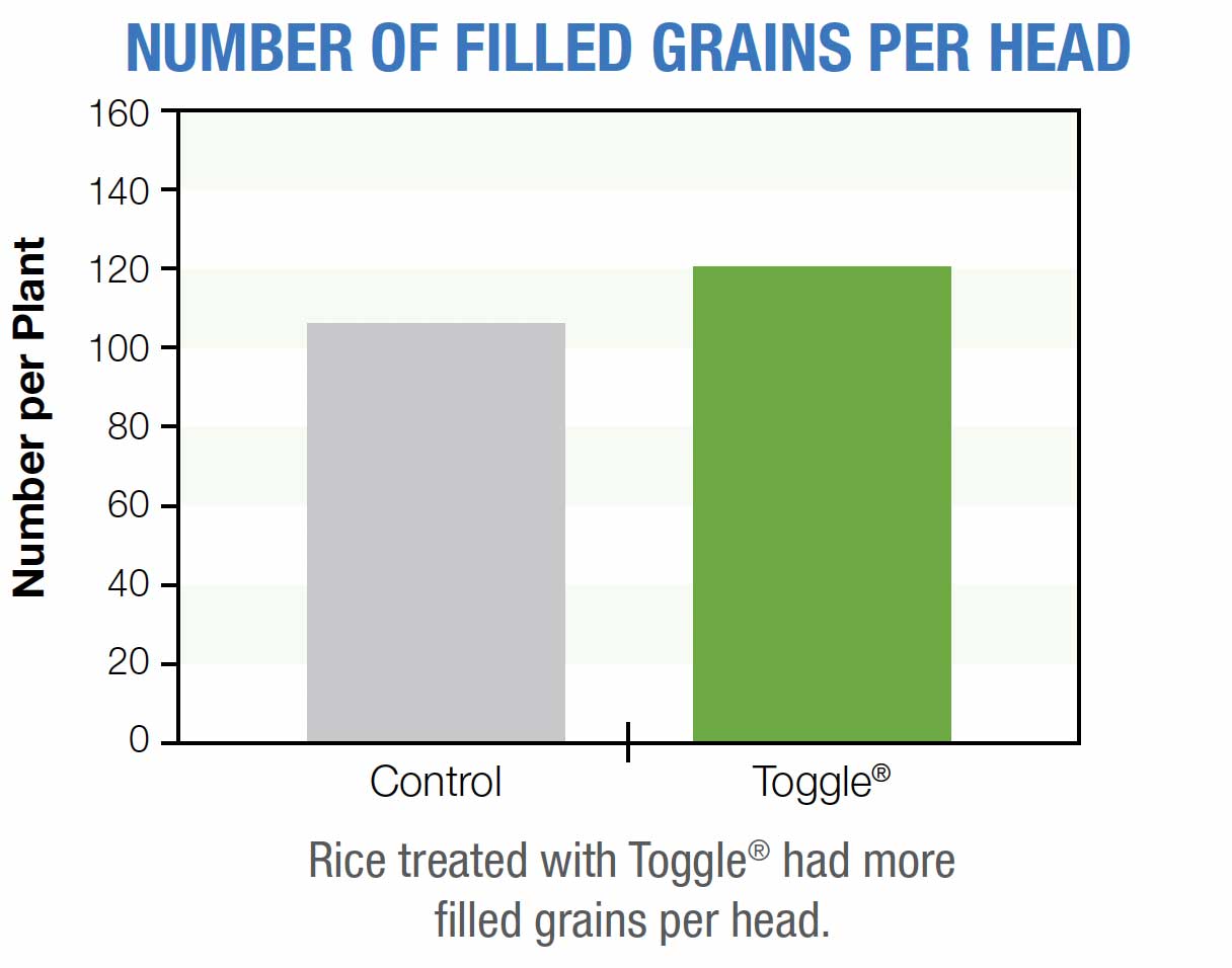 Number of Filled Grains per Head